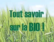 biographie pour site de rencontre