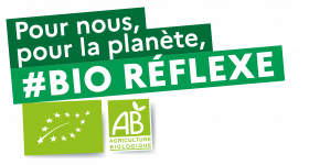 Logo Gauche BIOREFLEXE CMJN[54]