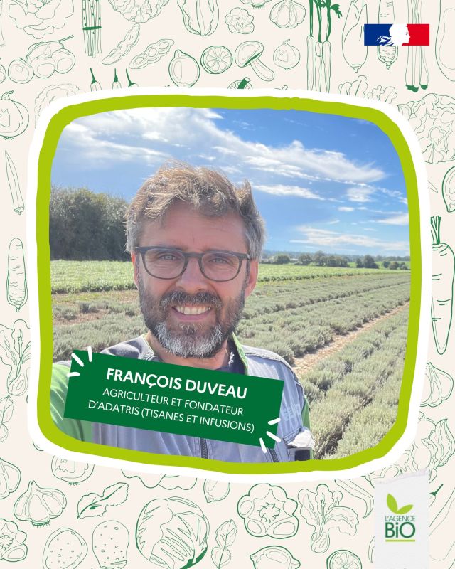 🍵 François Duveau, c’est notre Druidix, qui fait des tisanes bio made in Anjou avec Adatris, PME spécialisée dans les plantes médicinales bio avec de nombreuses variétés cultivées à son catalogue.

🧠 « Les cultures, c’est comme pour les neurones. Plus il y en a, plus les interactions entre elles sont nombreuses et permettent de développer l’intelligence. Un écosystème complexe génère toujours une intelligence collective globale. C’est de là que vient la résilience du vivant ! »

👉 Découvrez le portrait de François Duveau sur notre site en bio.

#TransitionAgricole #TransitionAlimentaire #Bio #Ayonslebioreflexe