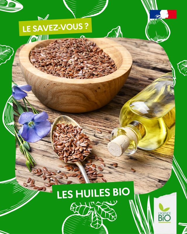 📃 Le cahier des charges bio, avec ses normes de production, s’applique aussi aux huiles. Cela permet de produire des huiles biologiques de qualité grâce à un simple procédé de pressage des graines oléagineuses.

🌻 Parce que les graines de tournesol, de colza, ou encore de lin ou de chanvre doivent être pressées pour devenir huile, le Fonds Avenir Bio finance ces huileries partout sur le territoire, que ce soit pour les vinaigrettes ou l’alimentation animale.

👉 En Occitanie, Probiopress.

👉 En Nouvelle-Aquitaine, Biograins à Poitiers et Oléosyn Bio dans les Deux-Sèvres. Rendez-vous le 5 juin à Thouars pour l’inauguration du nouvel outil de raffinage et de l’extension de la ligne de production de tournesol de Oleosyn Bio.

👉 En Centre-Val de Loire : Huilerie de Beauce, qui concerne en plus les cultures de noisetier, chardon-marie, onagre, bourrache, carthame et cameline (si c’est pas de la biodiversité dans la salade ça…).

👉 En Grand Est : la SCIC de la Tuilerie.

📈 A chaque fois, des investissements pour stocker, augmenter les rendements, la productivité, les capacités de production, la qualité…

🥗 C’est bio la salade !

#TransitionAgricole #TransitionAlimentaire #Bio #Ayonslebioreflexe