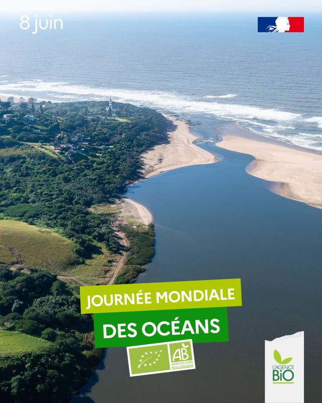 🌊 Ce 8 juin, c’est la Journée mondiale des océans. En agriculture biologique, la non-utilisation de produits chimiques de synthèse est un gage de respect des océans, des mers et des cours d’eau.

🔬 Une récente étude de l’INRAE et d’Ifremer s’est intéressée aux labels et à leur impact sur la biodiversité, notamment marine.

🗣️ “L’analyse des cahiers des charges atteste de l’effet positif des labels d’agriculture biologique (règlement européen Bio…) sur la biodiversité.”

👉 Retrouvez le communiqué de presse de l'étude : cp_biodivlabel_vf_def.pdf

🐬 La France se tient prête pour le Sommet des Océans de l’ONU à Nice du 9 au 13 juin, co-organisé avec le Costa Rica, pour parler de la diplomatie environnementale en lien avec les océans.

C’est bio les océans 🐳 

#TransitionAgricole #TransitionAlimentaire #Bio #Ayonslebioreflexe