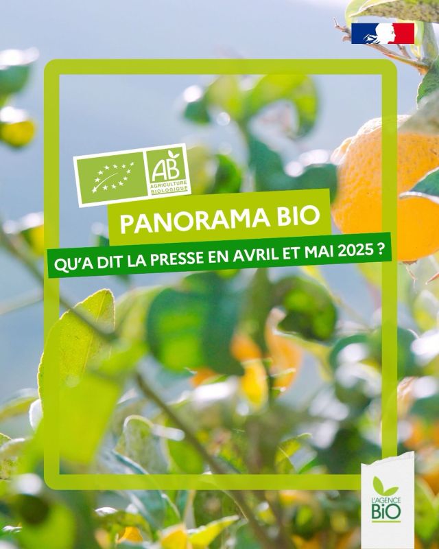 ⌚ Vous avez 20 minutes ? Les actualités bio des mois d’avril et de mai, bio en France, en Europe, dans le monde, sciences et études…  sont compilées, dans la revue de presse de l’Agence BIO : lien dans la bio 

Bonne lecture 📖 

#TransitionAlimentaire #TransitionAgricole #LoiEGAlim