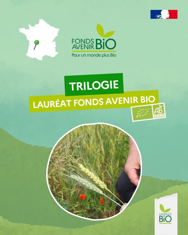 🧃 A Monflanquin, il n’y a pas que VITAMONT, notre sponsor en jus de fruits bio à l’Agence BIO. Il y a aussi TRILOGIE, lauréat 2024 en Nouvelle-Aquitaine du Fonds Avenir Bio.

🥖 Les financements de l’Agence BIO, 145K€, ont permis d’installer un trieur optique et un humidimètre, pour valoriser les grains de 3 agriculteurs bio et fournir en farine de blé les artisans boulangers locaux et les cantines pour un total d’investissements de 224K€.

🗣️ Les agriculteurs ont pu aussi embaucher une commerciale pour faire connaître leurs produits bio.

👉 Tous les lauréats du Fonds Avenir Bio sont sur notre site en bio.

#TransitionAgricole #TransitionAlimentaire #Bio #Ayonslebioreflexe #PlandeRelance #FondsAvenirBio