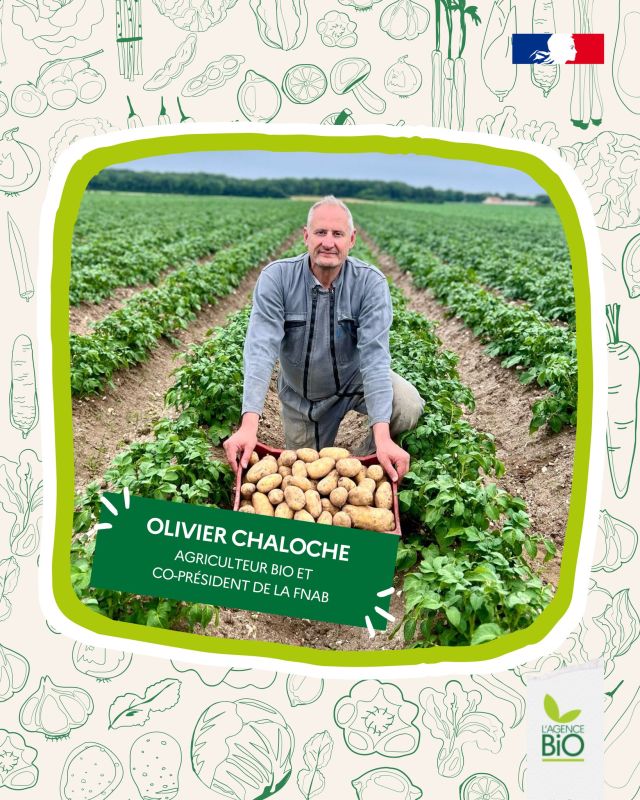 👨‍🌾 Lorsque Olivier Chaloche propose à celle qui allait être sa femme de reprendre la ferme familiale avec lui dans le Loiret, elle dit "oui, mais si tu passes en bio !"

🪴 Pour Olivier, la bio c’est remplacer la chimie par de l’humain : 6 paysans travaillent à ses côtés dont son beau-frère et son fils.

👉 Découvrez le portrait du coprésident de la FNAB passé en bio par amour : https://www.agencebio.org/2025/06/12/olivier-chaloche-le-bio-par-amour/

#TransitionAgricole #TransitionAlimentaire #Bio #Ayonslebioreflexe