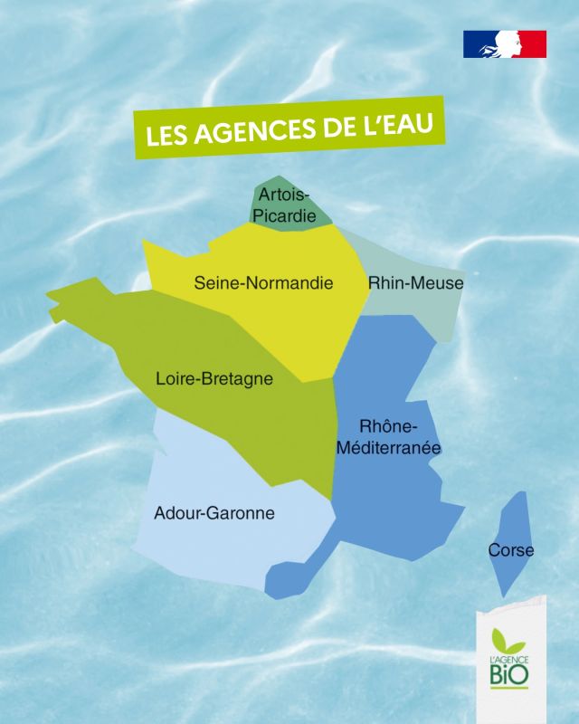 🫗 En France, on a 33 000 captages d’eau potable. Autour de ces captages, 1 378 aires d’alimentation de captage d’eau potable (AAC) : ce sont les surfaces sur lesquelles l’eau s’infiltre ou ruisselle et finit par nous alimenter.

Quid du bio sur ces surfaces ? Cette année, grâce à Cartobio, l’outil de data développé par l’Agence BIO, on sait désormais le pourcentage d’agriculture biologique sur ces surfaces :
💧 9% ! À comparer à la moyenne nationale qui est de 10%
💧 4 aires d’alimentation sont 100% bio sur 1 378
💧 3% des aires ont plus de 50% de surface agricole bio

🤝 Les 6 agences de l’eau, qui correspondent aux 6 bassins versants, soutiennent l’agriculture biologique comme garantie de la bonne qualité de l’eau. Elles ont besoin que les agriculteurs sur ces zones se convertissent, il faut donc leur trouver des débouchés !

Le détail par bassin :
📍 Adour-Garonne : 8%
📍 Artois-Picardie : 2%
📍 Loire-Bretagne : 7%
📍 Rhin-Meuse : 8%
📍 Rhône-Méditerranée : 17%
📍 Seine-Normandie : 5%

#TransitionAgricole #TransitionAlimentaire #Bio #Ayonslebioreflexe