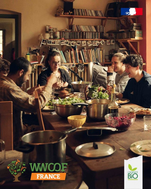 🤔 Le WWOOFing, vous connaissez ?

🪴 Vous saviez que c'était un concept bio ?

🗺️ WWOOF, pour Worldwide Opportunities on Organic Farms, c’est un projet associatif international (132 pays) qui répond aux personnes qui souhaitent apprendre en aidant les fermes bio et paysannes qui nous nourrissent.

🫂 Comment ? Les bénévoles (les WWOOFeur⸱ses) sont accueillis comme des amis : ils aident aux champs mais partagent aussi (et surtout !) la vie des fermes qui les accueillent.

🧑‍🌾 Vous êtes agriculteur bio ? Si vous vivez sur votre ferme et que vous êtes prêt à ouvrir votre quotidien, vous pouvez devenir hôte, et contribuer à transmettre vos savoir-faire.

👉 Pour en savoir plus : https://wwoof.fr/fr/

🗓️ 2 réunions d’information sont organisées les 15 juillet et 13 août, pour s’y inscrire, renseignez-vous auprès de @wwooffrance 

🌱 C’est bio le WWOOFing !

📸 Photos : Association WWOOF France et Cloé Harent - Ferme Les Clefs du sol

#TransitionAgricole #TransitionAlimentaire #Bio #Ayonslebioreflexe