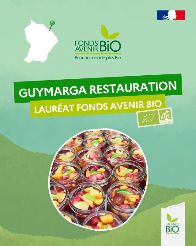 🐢 En Guyane aussi, le Fonds Avenir Bio construit des filières bio et locales. Avec Guymargua Restauration, la loi EGalim pourra être respectée dans ce territoire car la société produit des plats bio à destination de la restauration collective. Mais elle fait aussi traiteur et vend en direct : l'équivalent de 2 500 repas bio par jour.

📍 L’entreprise privilégie des circuits bio et courts pour développer l'économie locale.

Et comme une filière ne se structure pas seule, le projet est collectif, c’est la signature du FAB 📝 

🫑 Le partenariat lie Bio Savane, OSCOM, La Levée 973 et la SARL DRPAG qui fournissent des matières premières bio

🍽️ Le financement de l’Agence BIO est abondé par la Collectivité Territoriale de Guyane ce qui a permis la mise en place d’une cuisine centrale.

🦥 C’est bio la Guyane ! C’est bio Cayenne !

#TransitionAgricole #TransitionAlimentaire #Bio #Ayonslebioreflexe #PlandeRelance #FondsAvenirBio