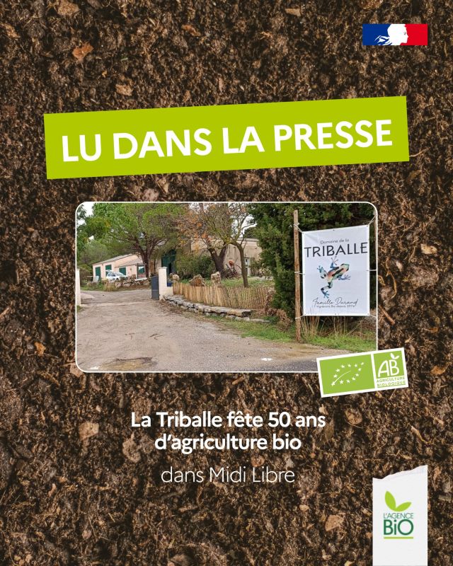 🍇 La Triballe, à Guzargues dans l'Hérault en Occitanie, est un des premiers domaines viticoles a avoir sauté le pas du bio en 1974.

🌸 Depuis, l’exploitation de la famille Durand s’est diversifiée avec notamment l’introduction des Plantes à Parfum Aromatiques et Médicinales. Adaptées au climat méditerranéen, elles apportent un habitat sain aux vignes et permettent la rotation des cultures et l’enrichissement des sols.

🎂 Pour ses 50 ans, le domaine a célébré autour d’un repas prisé dans la cave de vinification : dégustation des cuvées AOP Pic Saint Loup et Grès de Montpellier, et menu gastronomique.

👉 Retrouvez l’article dans @midilibre

#TransitionAgricole #TransitionAlimentaire #Bio #Ayonslebioreflexe