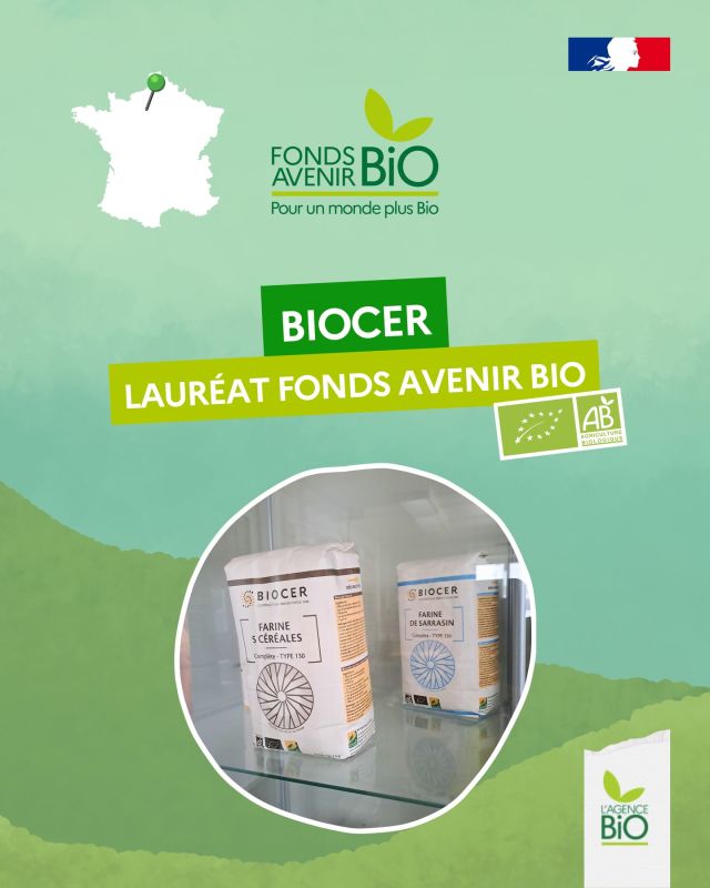 🌾 C’est bio la Normandie ! Grâce à la coopérative Biocer et aussi un peu au Fonds Avenir Bio qui a financé des équipements de triage-stockage-séchage de céréales bio français à Marcilly-la-Campagne.

💶 Concrètement, qu’avons-nous financé ?
1️⃣ Un séchoir pour répartir les récoltes à sécher et éviter les contaminations
2️⃣ Une meule de pierre pour répondre à la demande croissante de farines biologiques

🌱 La coopérative Biocer est engagée depuis 20 ans pour structurer les filières bio made in France en grandes cultures. A la clé, des hectares de bio en diversifiant les cultures : introduction du quinoa, encouragement à cultiver en mélanges, etc….

🍒 Cerise sur le gâteau : les producteurs sont sous contrat pluriannuel en commerce équitable. Et servent des partenaires durables tels que @biocoop_officiel, Céréco et @ethiquable, ainsi qu’une multitude de boulangers artisanaux friands de ces farines de qualité écrasées sous meule de pierre.

👉 Tous les lauréats du Fonds Avenir Bio sont sur notre site en bio.

#TransitionAgricole #TransitionAlimentaire #Bio #Ayonslebioreflexe #PlandeRelance #FondsAvenirBio